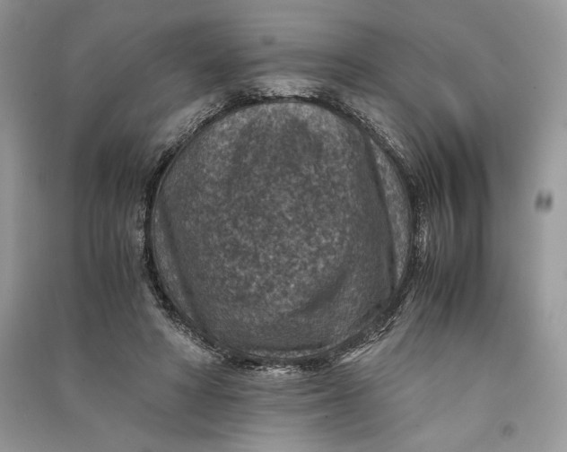 X0000090700402200708101446
