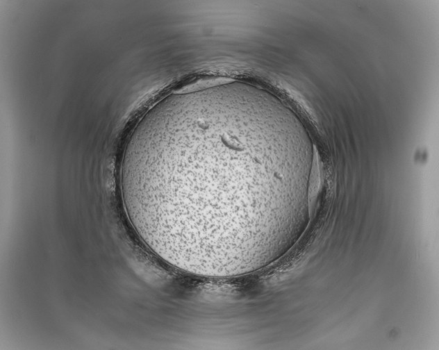 X0000090700403200708101446