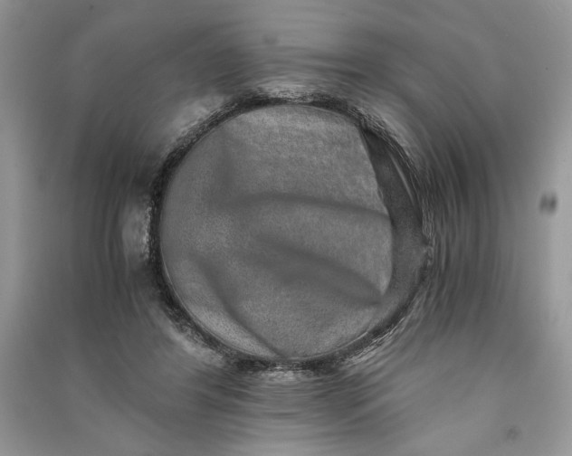 X0000090700404200708101446