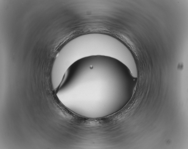 X0000090700405200708101446