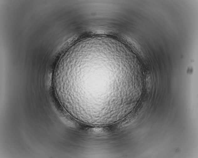 X0000090700406200708101446