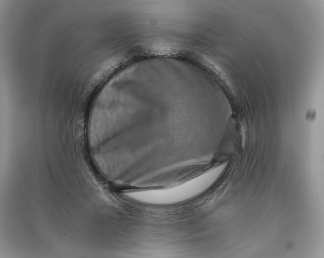 X0000090700407200708101446