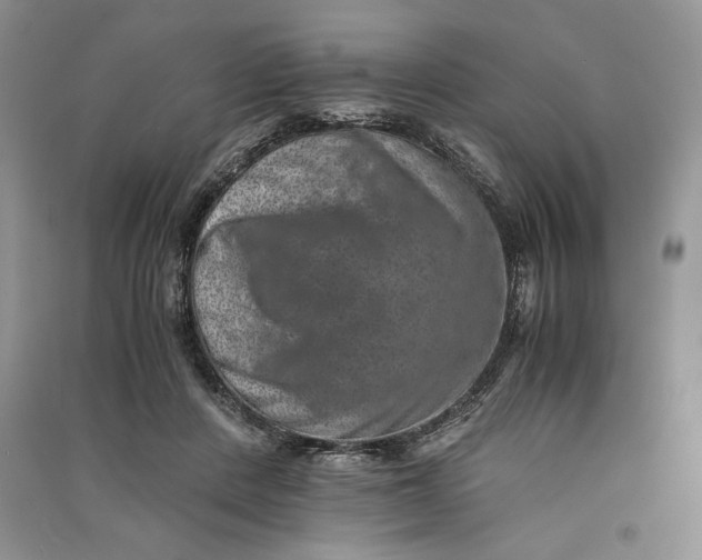 X0000090700408200708101446