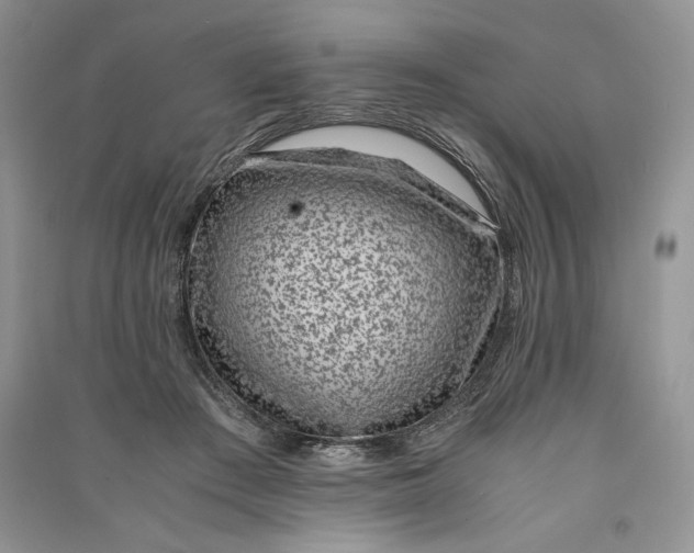 X0000090700409200708101446