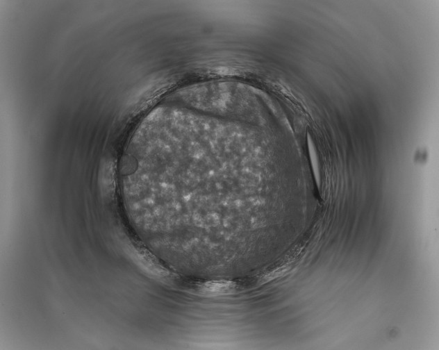 X0000090700410200708101446