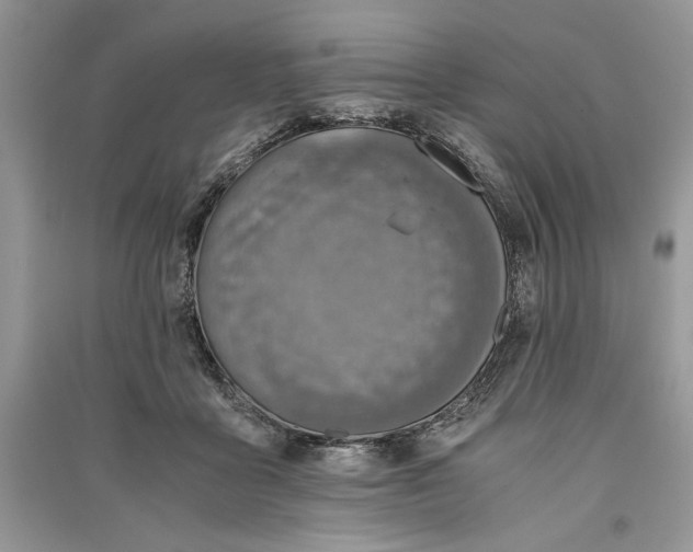 X0000090700411200708101446