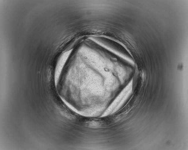 X0000090700412200708101446