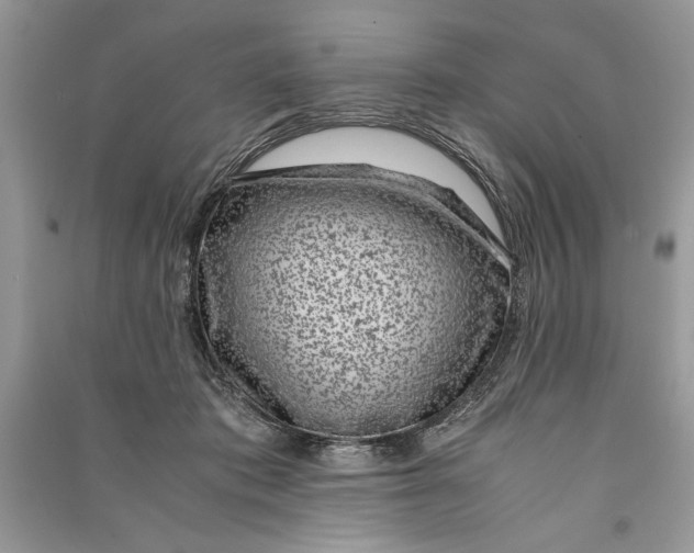 X0000090700413200708101446