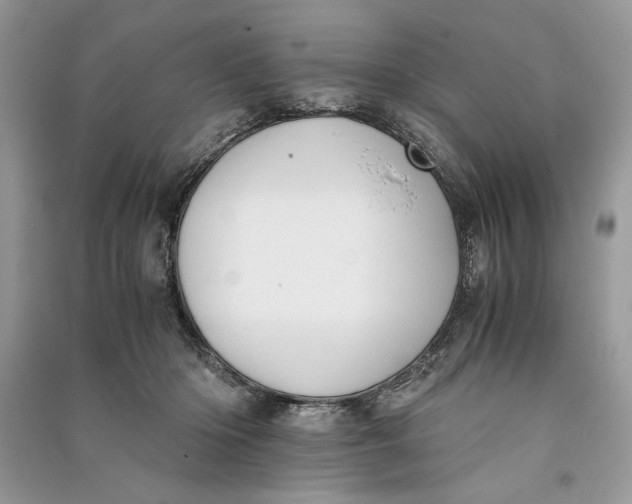 X0000090700414200708101446
