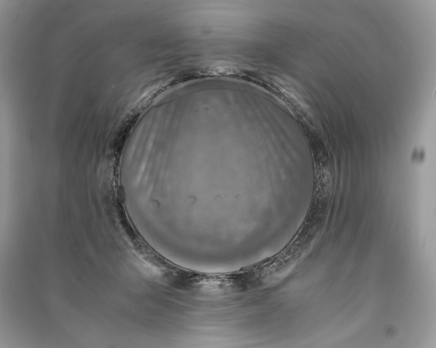 X0000090700415200708101446
