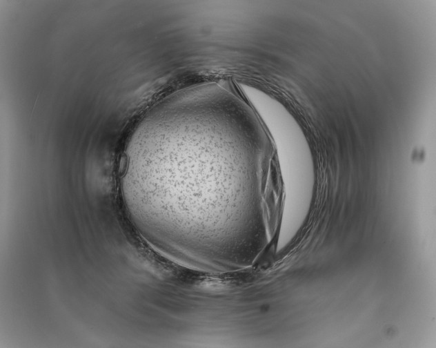 X0000090700416200708101446
