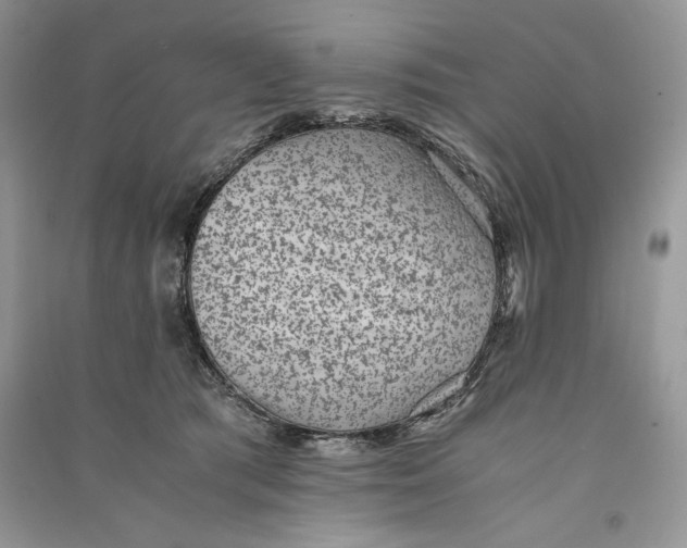 X0000090700417200708101446