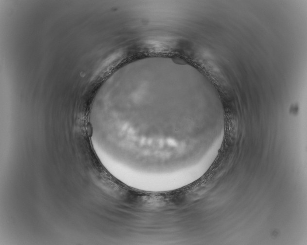 X0000090700419200708101446
