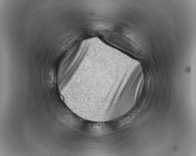 X0000090700420200708101446