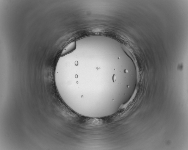 X0000090700421200708101446