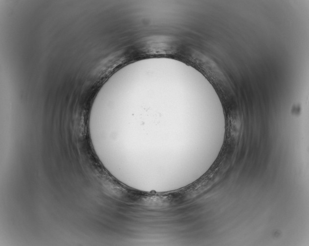 X0000090700422200708101446