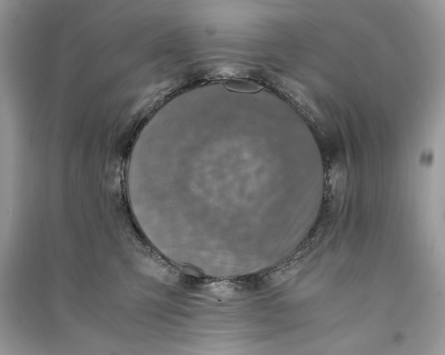 X0000090700423200708101446