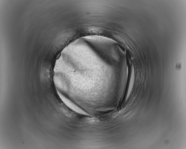 X0000090700424200708101446