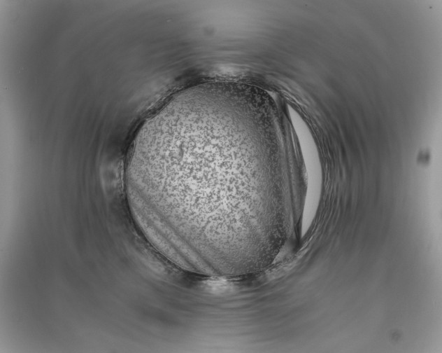 X0000090700425200708101446