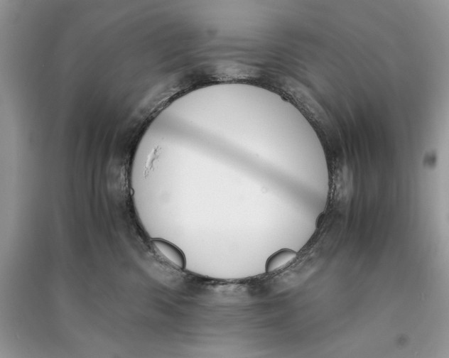 X0000090700426200708101446