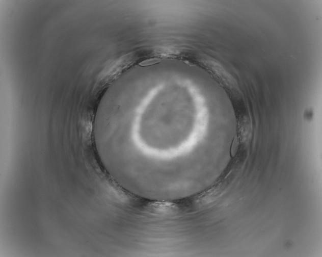 X0000090700427200708101446