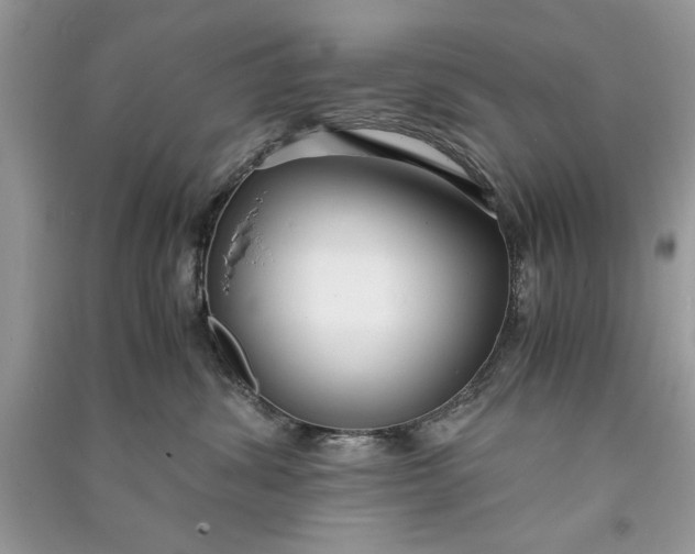 X0000090700428200708101446