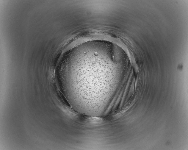 X0000090700429200708101446