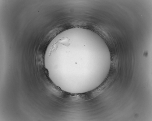 X0000090700430200708101446