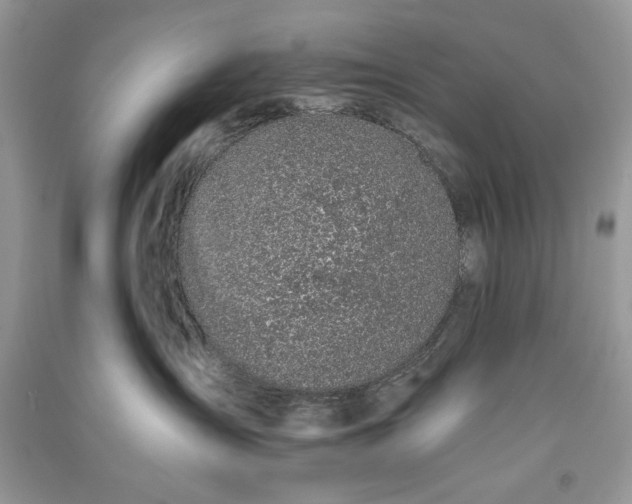 X0000090700431200708101446