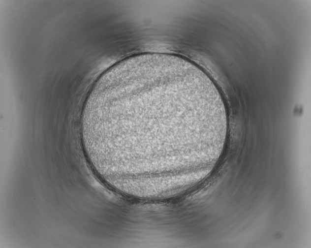 X0000090700433200708101445