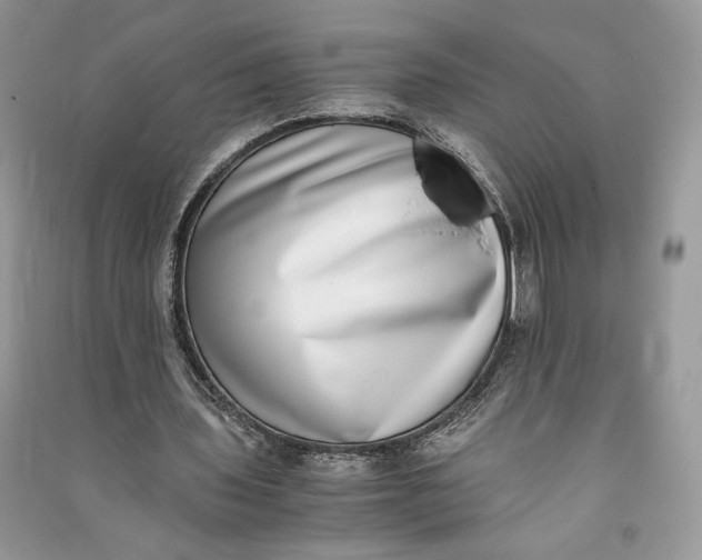 X0000090700435200708101445