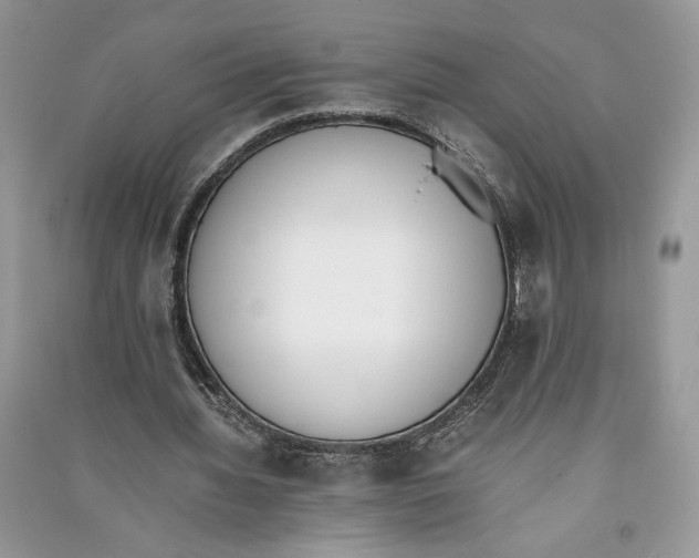 X0000090700436200708101445