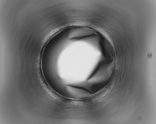 X0000090700437200708101445