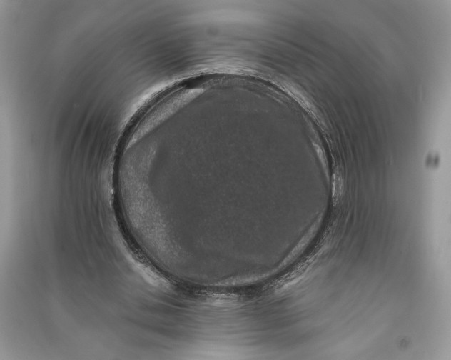 X0000090700438200708101445