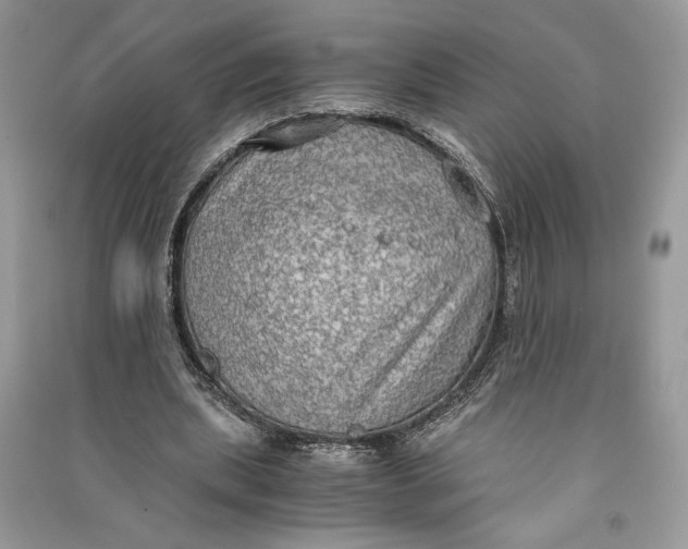 X0000090700439200708101445