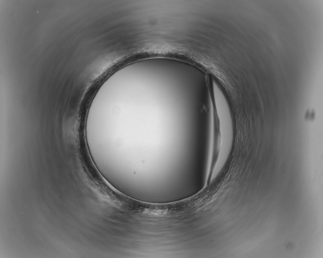 X0000090700440200708101445