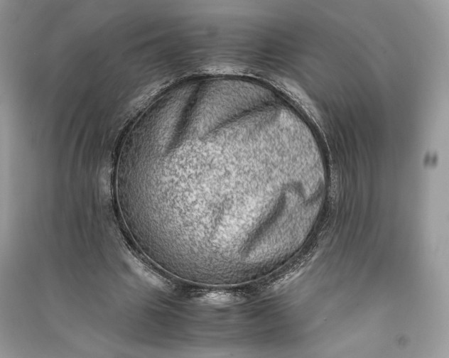 X0000090700441200708101445