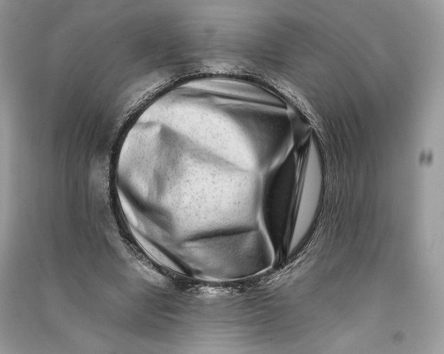 X0000090700442200708101445