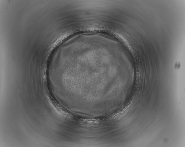 X0000090700443200708101445
