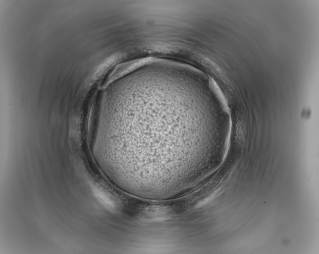 X0000090700444200708101445