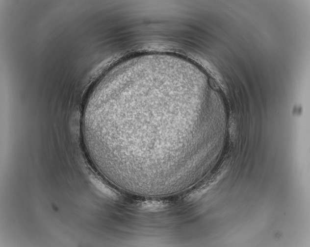 X0000090700445200708101445
