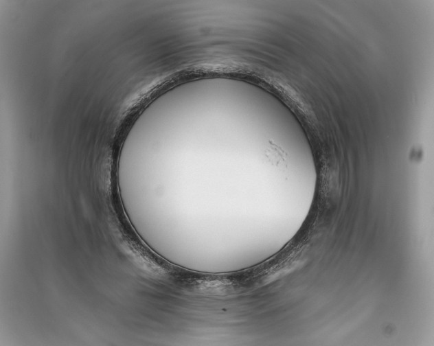 X0000090700446200708101445