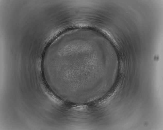 X0000090700447200708101445