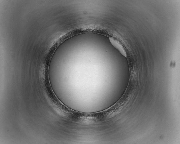 X0000090700448200708101445