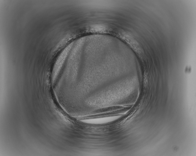 X0000090700449200708101445