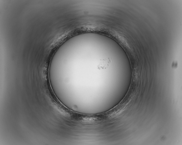 X0000090700450200708101445