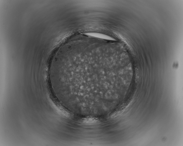 X0000090700451200708101445