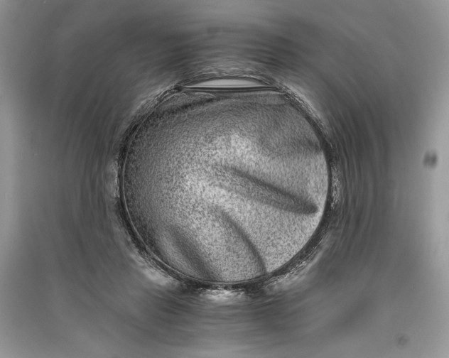 X0000090700453200708101445