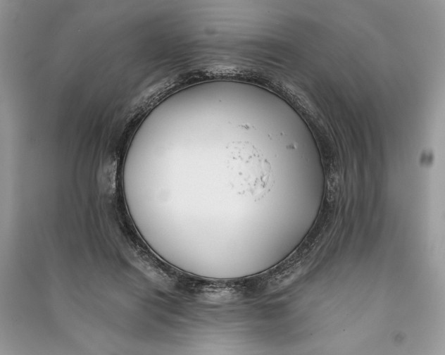 X0000090700454200708101446