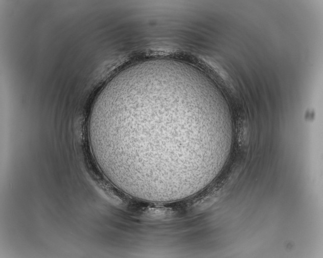 X0000090700455200708101446